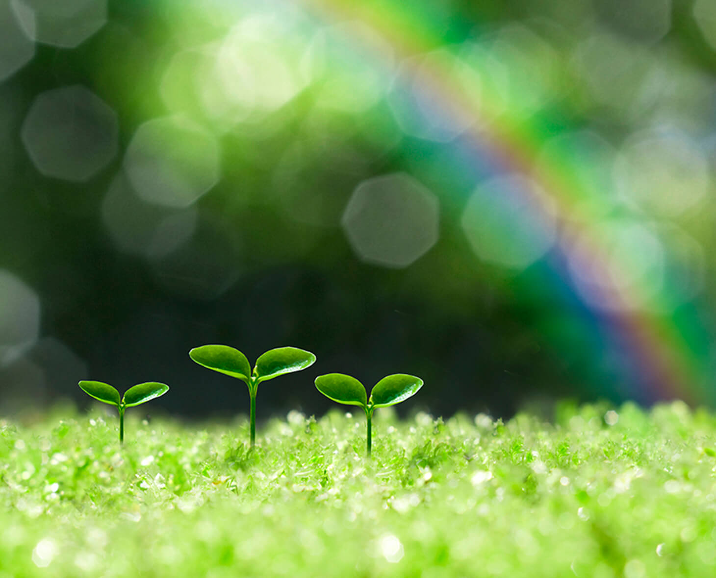 地域密着型のやさしい医療